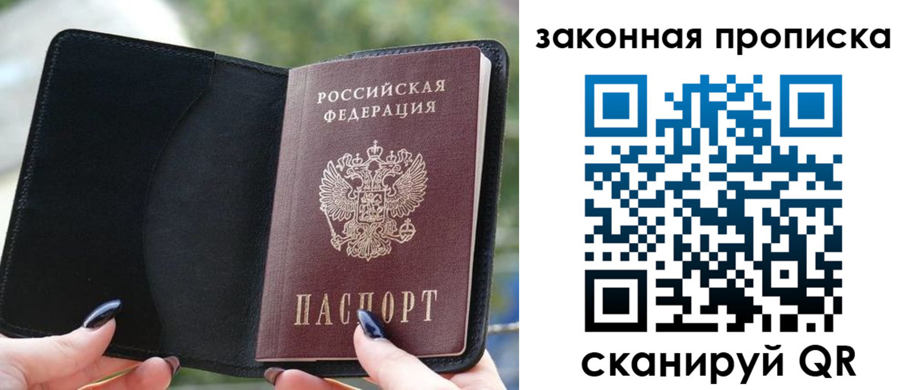 прописка законно в Волгореченске